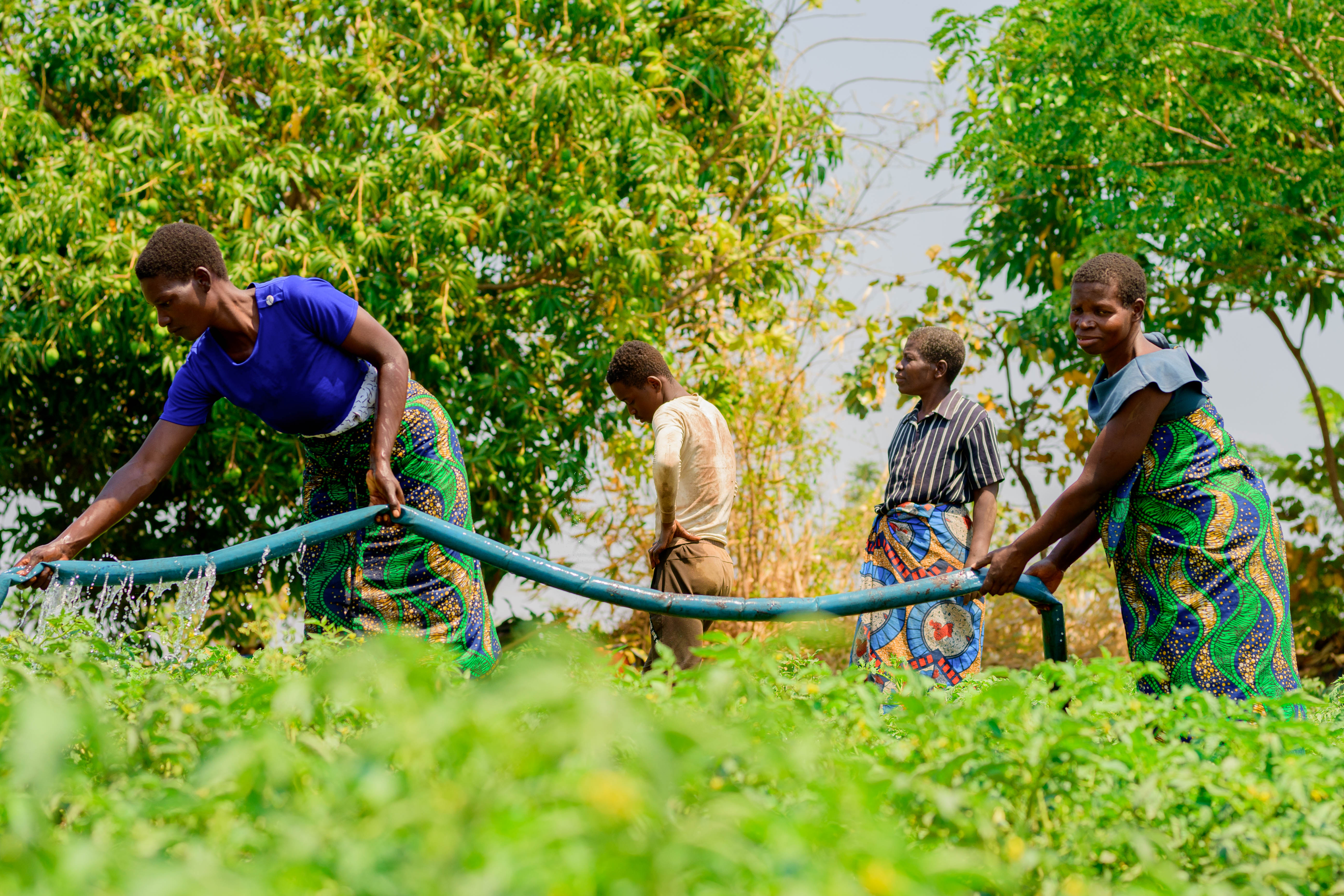 Rising from the Rubble: 10 Women's Journey to Prosperity through Irrigation and Entrepreneurship